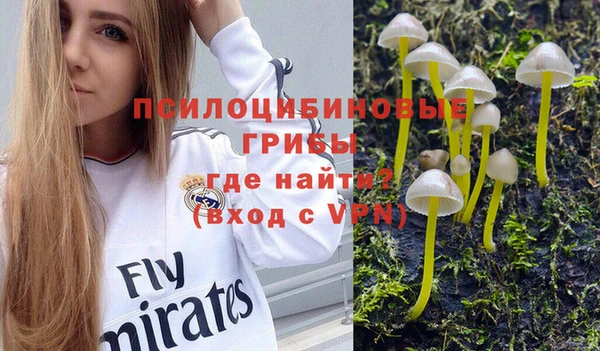 Альфа ПВП Аркадак