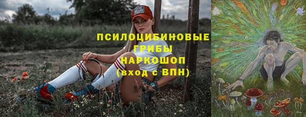 Альфа ПВП Аркадак