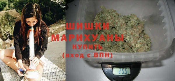 Альфа ПВП Аркадак